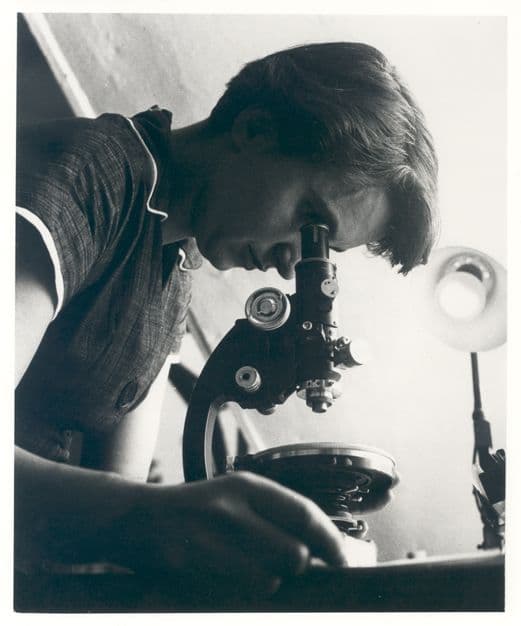 Image of File:Rosalind Franklin.jpg